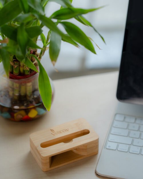 Bamboo Amplifier