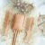 Leining + neem comb